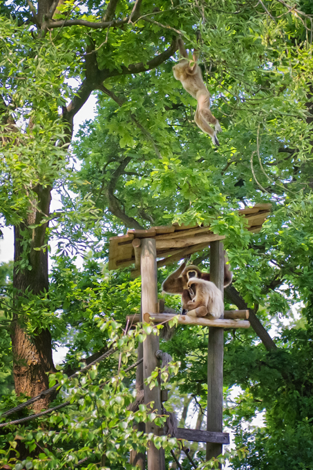 Zoo-Emmen-1.jpg