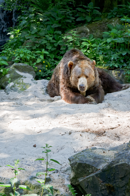 Zoo-Emmen-12.jpg