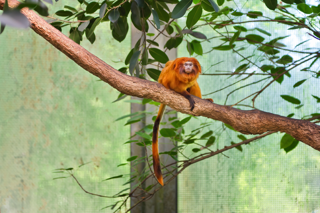 Zoo-Emmen-14.jpg