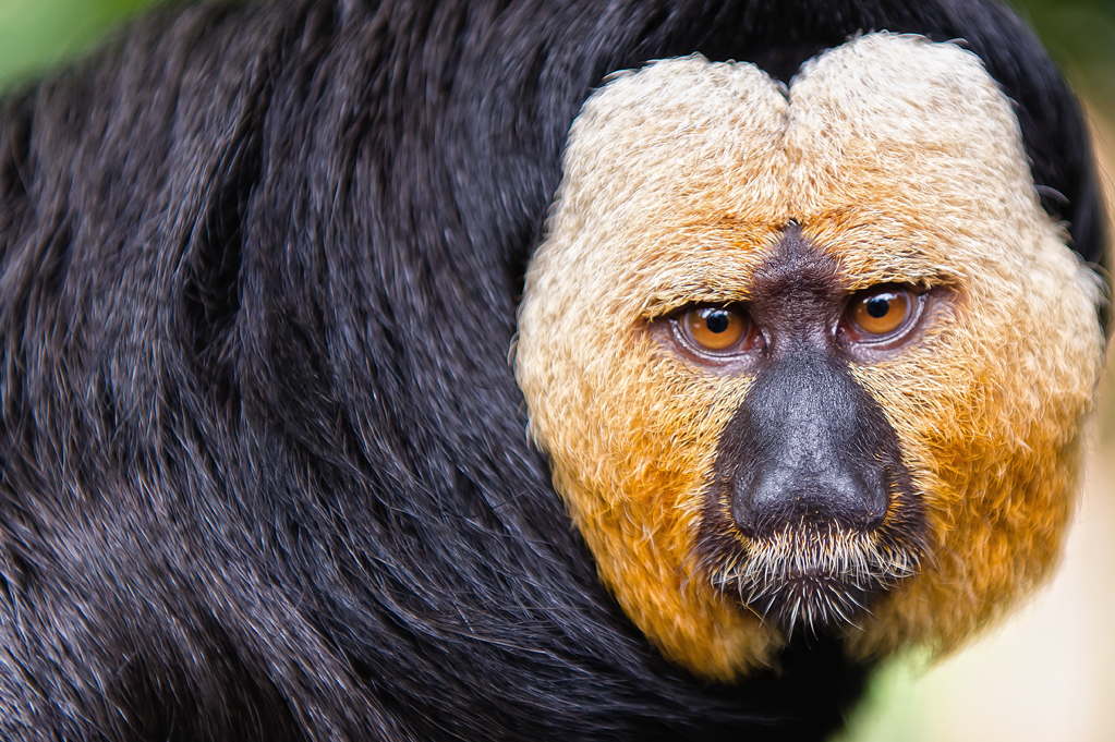Zoo-Emmen-15.jpg