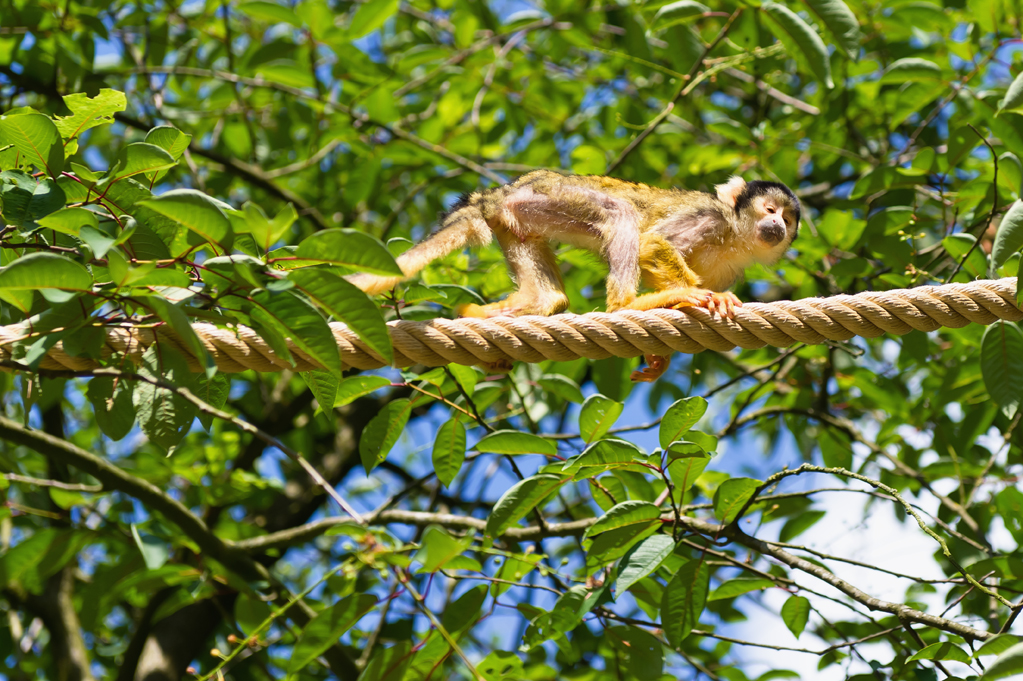 Zoo-Emmen-17.jpg