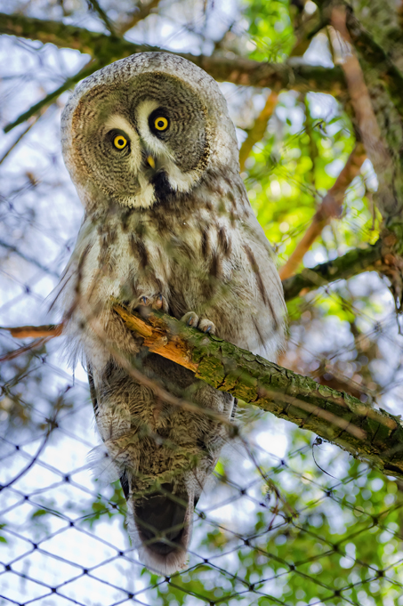 Zoo-Emmen-18.jpg