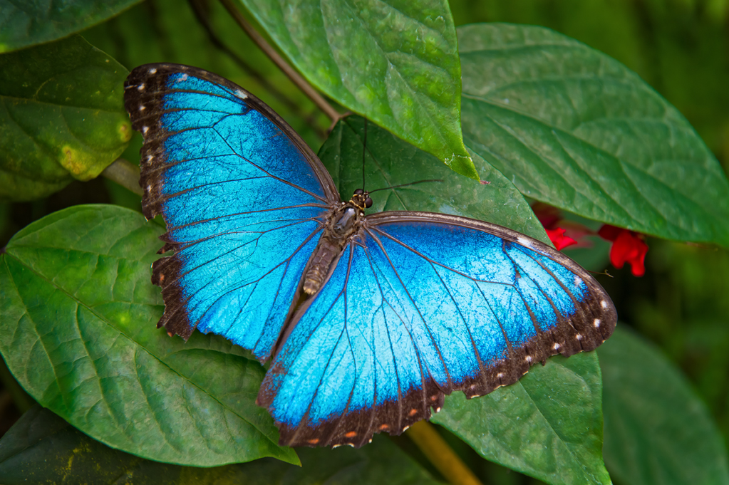 Zoo-Emmen-2.jpg