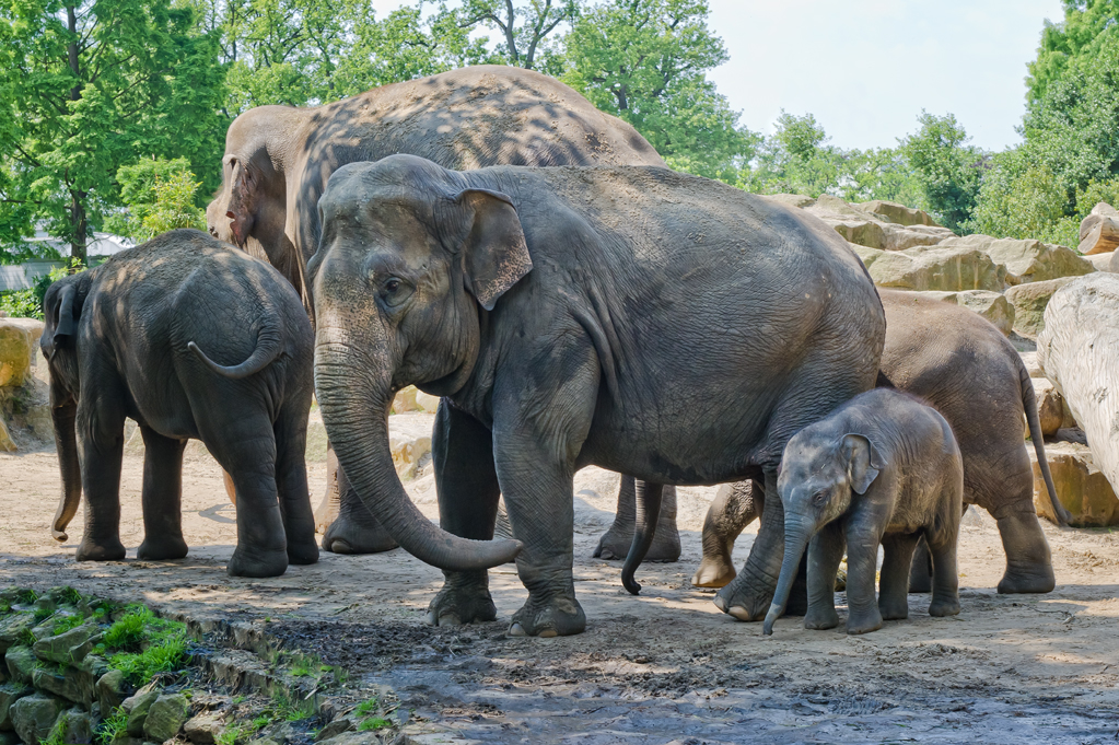 Zoo-Emmen-4.jpg
