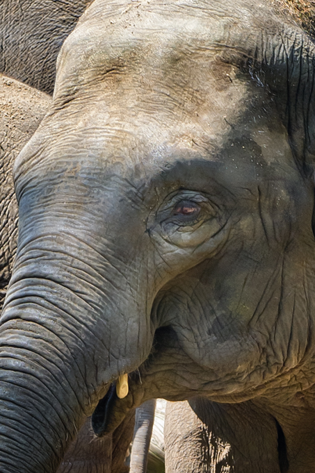 Zoo-Emmen-5.jpg