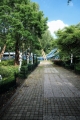 walibi_0004